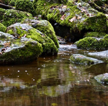 Small pool of water surrounded by rocks covered with green moss at Gaisholl waterfall in the Black Forest of Germany.