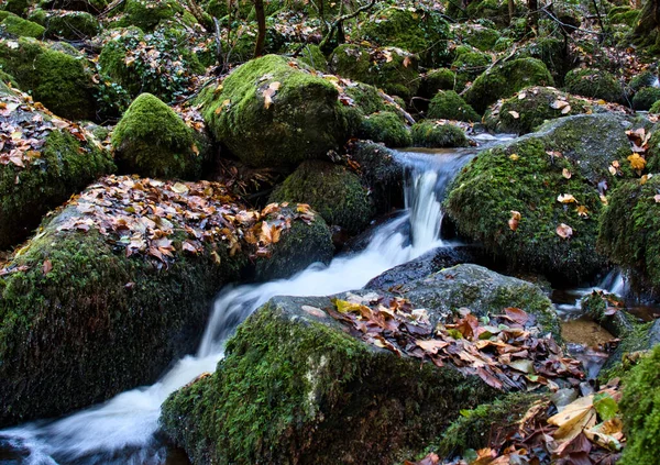 Water flowing through rocks covered by moss and dead leaves on a fall day at Gaisholl waterfalls in the Black forest of Germany.