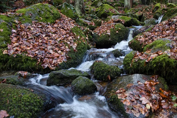 Stream of water surrounded by rocks with green moss and dead leaves at Gaisholl waterfalls in the Black Forest of Germany on a fall day.