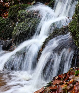 Water in a waterfall at Gaisholl in the Black forest of Germany splashing over rocks.