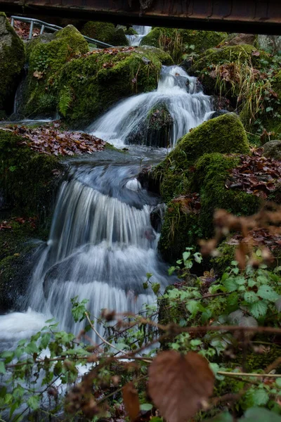 Beautiful Small Waterfall Surrounded Green Plants Bridge Gaisholl Black Forest — Photo
