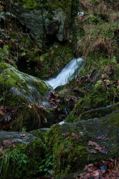 Water Running Rocks Gaisholl Waterfalls Fall Day Black Forest Germany — Stok fotoğraf