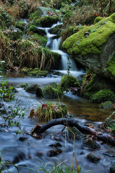 Water running down a hill over mossy rocks into a small pool with rocks and tree limbs on a fall day at Gaisholl waterfalls in the Black Forest of Germany.
