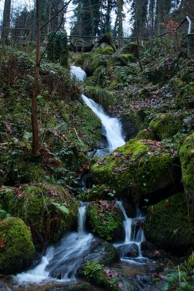 Green plants and trees around a waterfall under a wooden bridge on a fall day at Gaisholl waterfalls in the Black Forest of Germany.