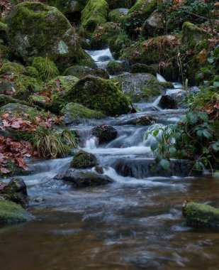 Stream running over rocks with moss at Gaisholl waterfall in the Black Forest of Germany on a fall day.