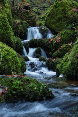 Beautiful waterfall under a wooden bridge at Gaisholl waterfall on a fall day in the Black Forest of Germany.
