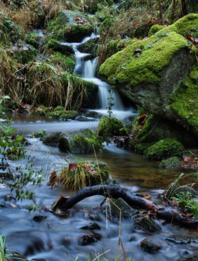 Tree limb in a stream with a small waterfall in the background on a fall day in the Black Forest of Germany.