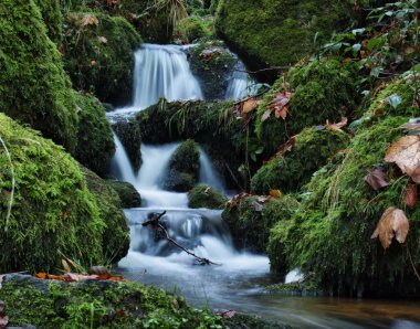 Beautiful waterfall at Gaisholl waterfall surrounded by bright green plants and moss covered rocks on a fall day in the Black Forest of Germany.
