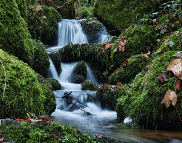 Beautiful Waterfall Gaisholl Waterfall Surrounded Bright Green Plants Moss Covered — Photo