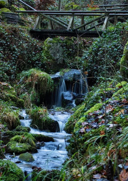 Wooden Bridge Walking Path Stream Water Flowing Rocks Gaishol Waterfall — Foto Stock