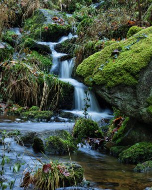 Water flowing over moss covered rocks at Gaisholl waterfalls in the Black Forest of Germany on a fall day.