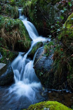 Water cascading over rocks into a small pool in a creek at Gaisholl Waterfall in the Black Forest of Germany.