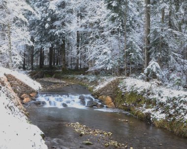 Stream in the Bavarian Alps surrounded by white snow covered trees on a cold fall day in Germany.
