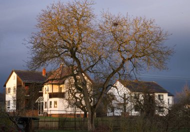 Potzbach, Almanya - 17 Aralık 2020: Küçük bir Alman köyünde bulutlu bir sabahta büyük bir ağaca ve evlere sabah ışığı vuruyor.