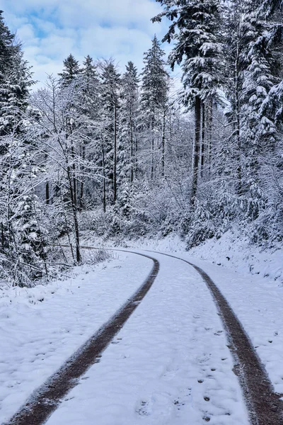 Reifenspuren Schnee Auf Einer Straße Wald Bayern Einem Kalten Herbsttag — Stockfoto