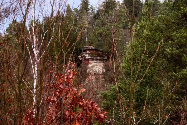 Formacja Skalna Otoczona Drzewami Wzgórzu Palatyńskim Lesie Niemiec Zimowy Dzień — Zdjęcie stockowe