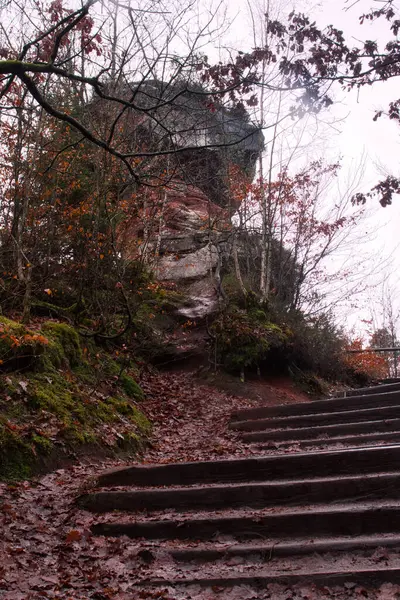 Almanya Nın Palatinate Ormanı Ndaki Merdivenlerin Başında Kaya Oluşumu — Stok fotoğraf