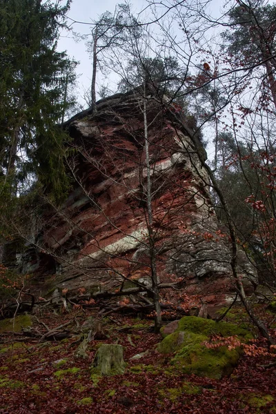 Formación Rocosa Detrás Árbol Bosque Del Palatinado Día Invierno Alemania — Foto de Stock