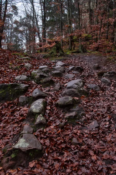 Rocas Una Colina Bosque Del Palatinado Día Invierno Alemania — Foto de Stock