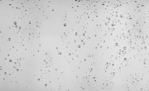 滴的雨水 (玻璃窗口) 图库图片