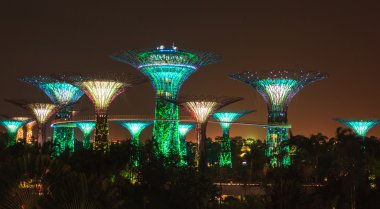 Körfez - gece Singapur supertree grove Gardens.