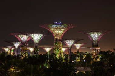 Körfez - gece Singapur supertree grove Gardens.