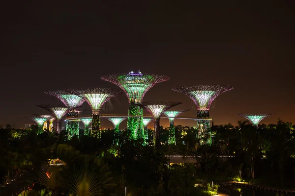 Körfez - Singapur supertree grove Gardens. — Stok fotoğraf