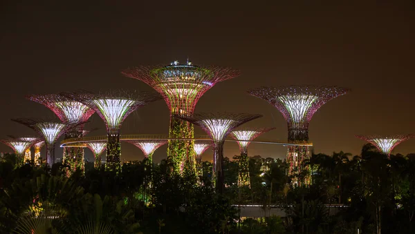 Zahrady Bay - supertree háj v Singapuru v noci. — Stock fotografie