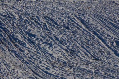 Kardaki yamaçta bir sürü ayak izi, kayak ve kızak izi var.
