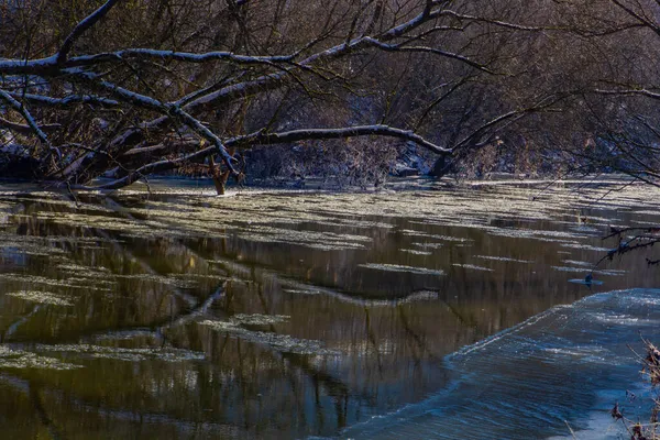 Flotte Glace Qui Descend Une Rivière — Photo