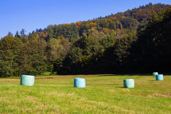 Rotoli Fieno Avvolti Plastica Verde — Foto Stock