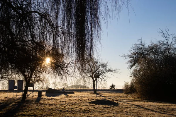Зимний Пейзаж Солнцем Сияющим Сквозь Силуэты Деревьев Время Восхода Солнца — стоковое фото
