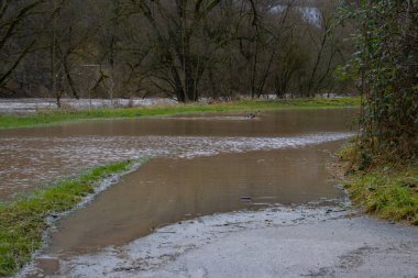 Şiddetli yağmurdan sonra sel basmış yol