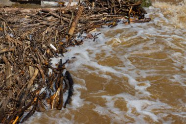 Sel sırasında odun yığını ve plastik çöp, çevresel su kirliliği