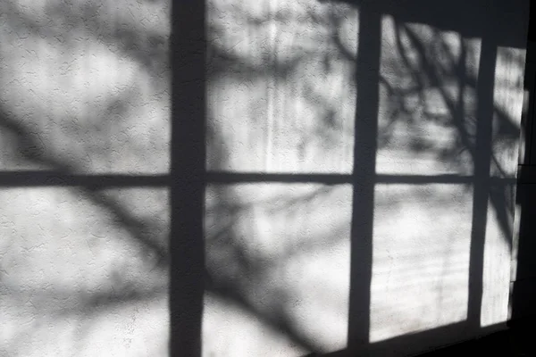 Eski Bir Pencere Çerçevesinin Işığı Gölgesi Beyaz Kirli Bir Duvarın — Stok fotoğraf