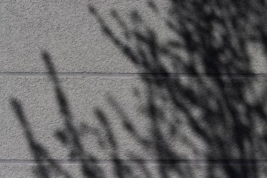 Shadow of branches on a gray concrete wall