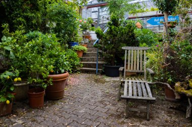 Bahçedeki bitkilerle çevrili eski, ahşap bir güneş yatağı.