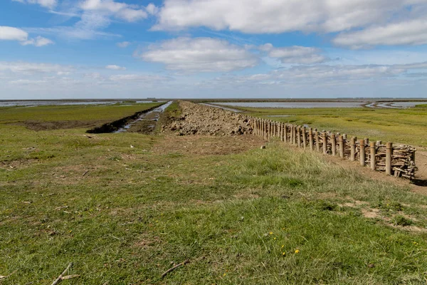 Wood barrier for land reclamation in the wadden sea, north sea Germany