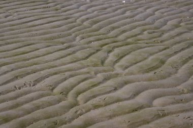 Wet abstract sand pattern for background