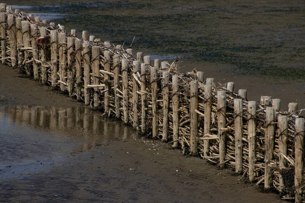 Wood barrier for land reclamation in the wadden sea, north sea Germany