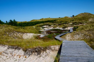 Wooden footpath through the dunes of Amrum clipart