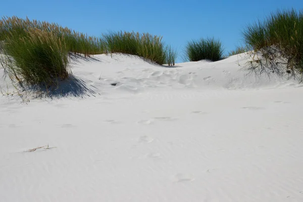 암 럼 섬의 모래 언덕 풍경 스톡 이미지