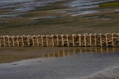 Wood barrier for land reclamation in the wadden sea, north sea Germany