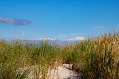 Amrum adasındaki kum manzarası