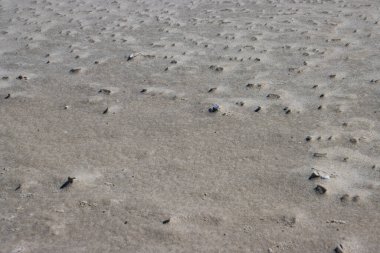 Wet abstract sand pattern for background