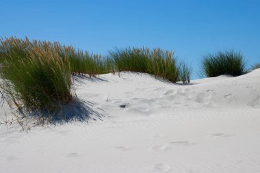 Amrum adasındaki kum manzarası