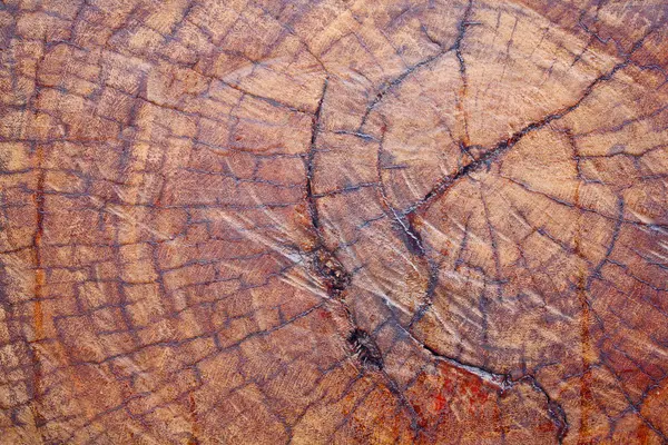 Wood texture — Stock Photo, Image