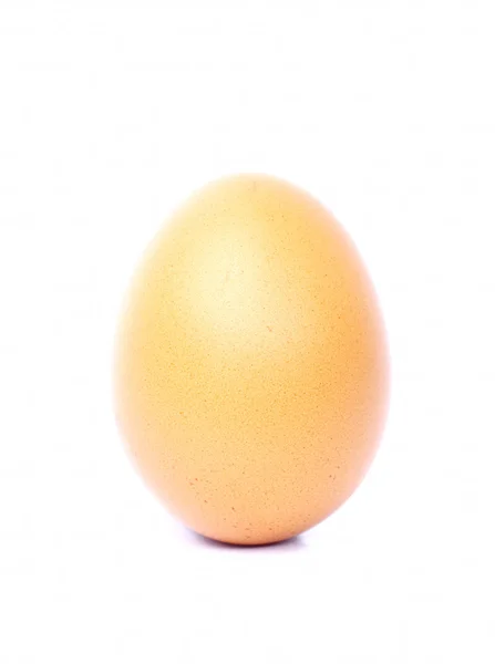 Chicken Egg Royalty Free Stock Images