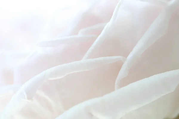 Soft Pink Rose Petals Macro Closeup — Stock Photo, Image