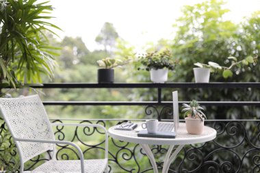 Kahve fincanı, dizüstü bilgisayar ve Dorstenia beyaz metal masaya demlik dikiyor.